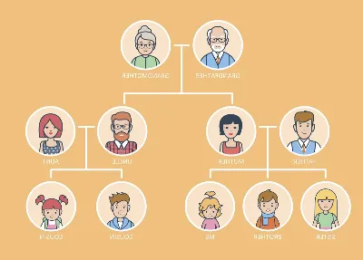 ¿Cómo construir un árbol genealógico de tu apellido?