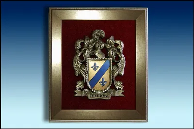 Los detalles más curiosos de los escudos heráldicos