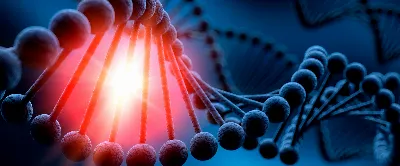 ¿Qué es la prueba de ADN y cómo funciona?