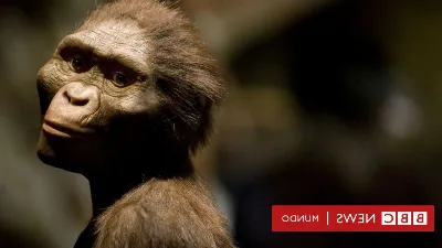 Personajes famosos cuyos ancestros fueron revelados gracias a pruebas de ADN