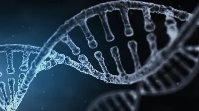 Los límites éticos de las pruebas de ADN en la genealogía