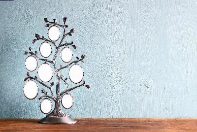 ¿Cómo empezar a investigar mi árbol genealógico?