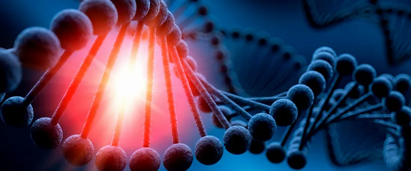 ¿Qué es la prueba de ADN y cómo funciona?