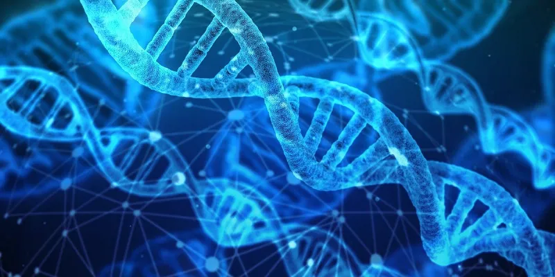 ¿Pueden los apellidos predecir nuestras herencias genéticas?